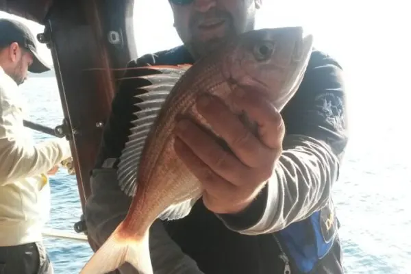 Balık avı turundan kare 22